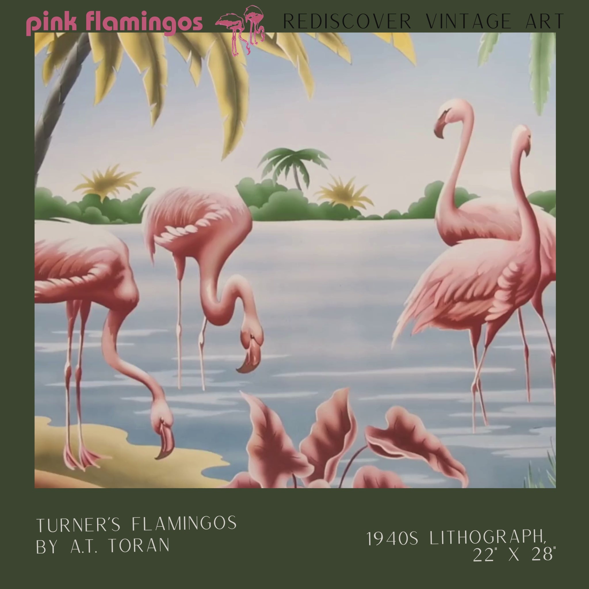 Vintage lithograph titled 'Turner's Flamingos' by artist A.T. Toran, depicting a serene scene with three pink flamingos standing in shallow water. Two are bent over, sipping water, while the third stands tall, looking off into the distance. In the background, there are lush tropical plants and palm trees under a clear, light blue sky. The artwork, produced in the 1940s, showcases vibrant yet soothing colors with meticulous detail in the feathers and foliage, embodying the classic charm of the era.